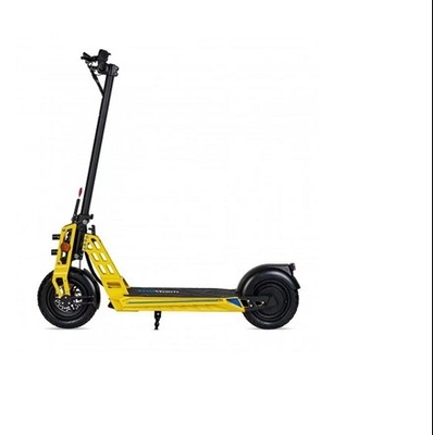 Reliable Electric Scooter with 600w Rear Drive Brushless Motor and High-performance Lithium-ion Battery