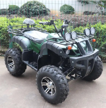 60V 2000W Brushless Motor 4WD Shaft Drive Electric ATV for Adult