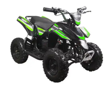 Hot Sale 4 Wheeler Electric ATV / EATV 1000w Mini Quad Bike for Kids