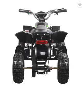 Hot Sale 4 Wheeler Electric ATV / EATV 1000w Mini Quad Bike for Kids