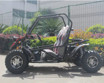 PHYES Shaft Drive 60V 5000W 50AH Lead-Acid Brushless Motor off road Electric Go Kart/BUGGY for Adult